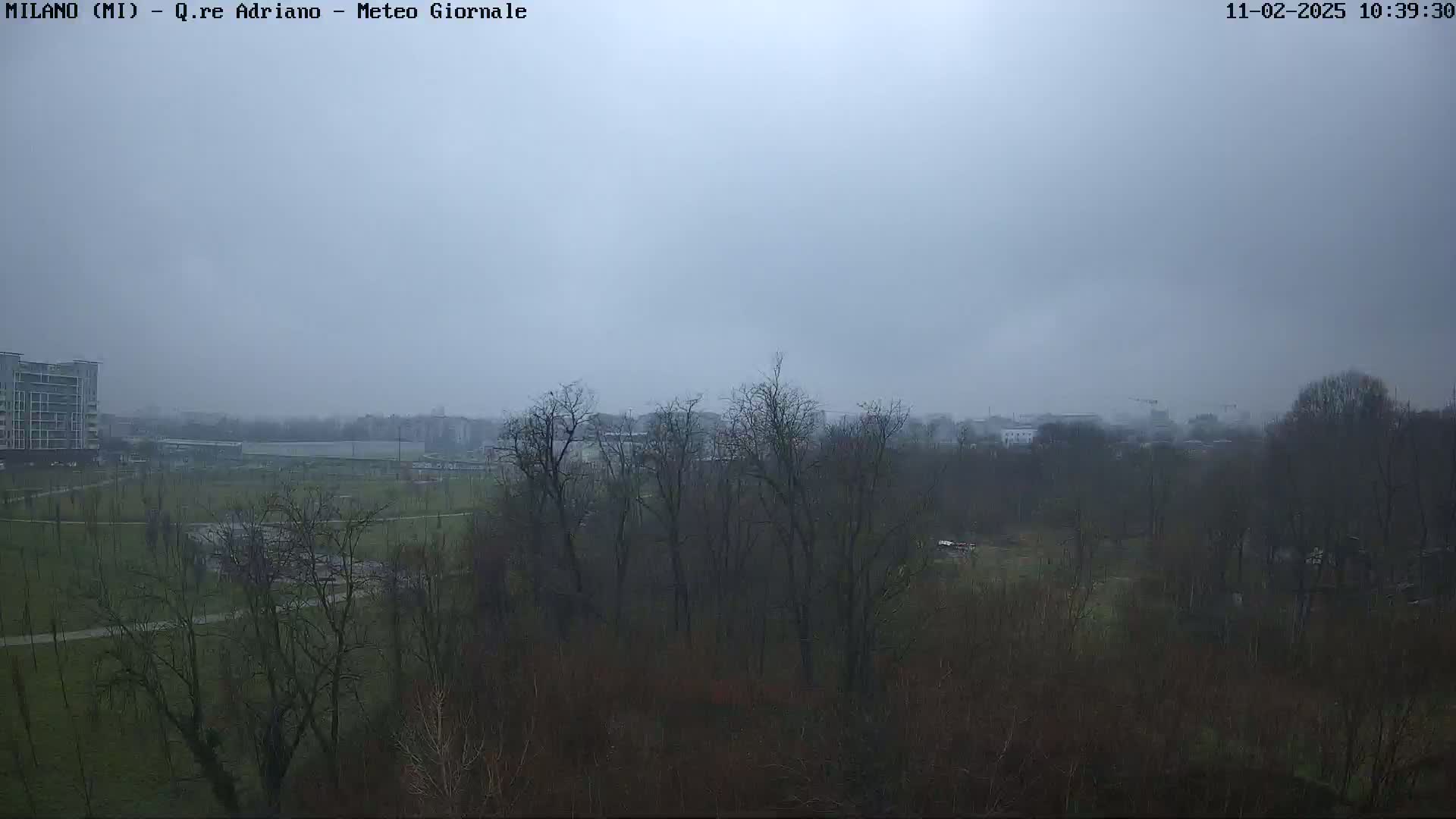 A hazy, overcast day reveals a park-like area with leafless trees and a distant cityscape under a gray sky.