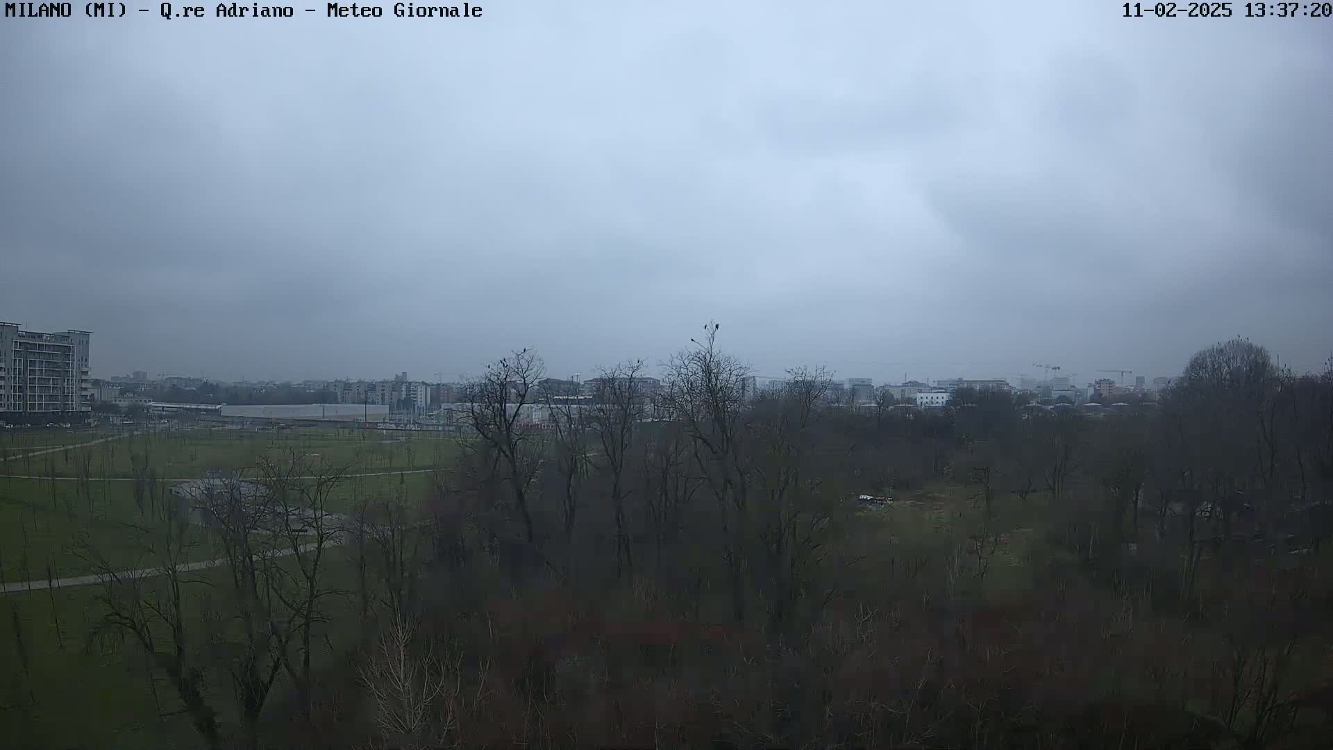 A mostly overcast sky hangs over a park with leafless trees, a grassy field, and buildings in the distance.
