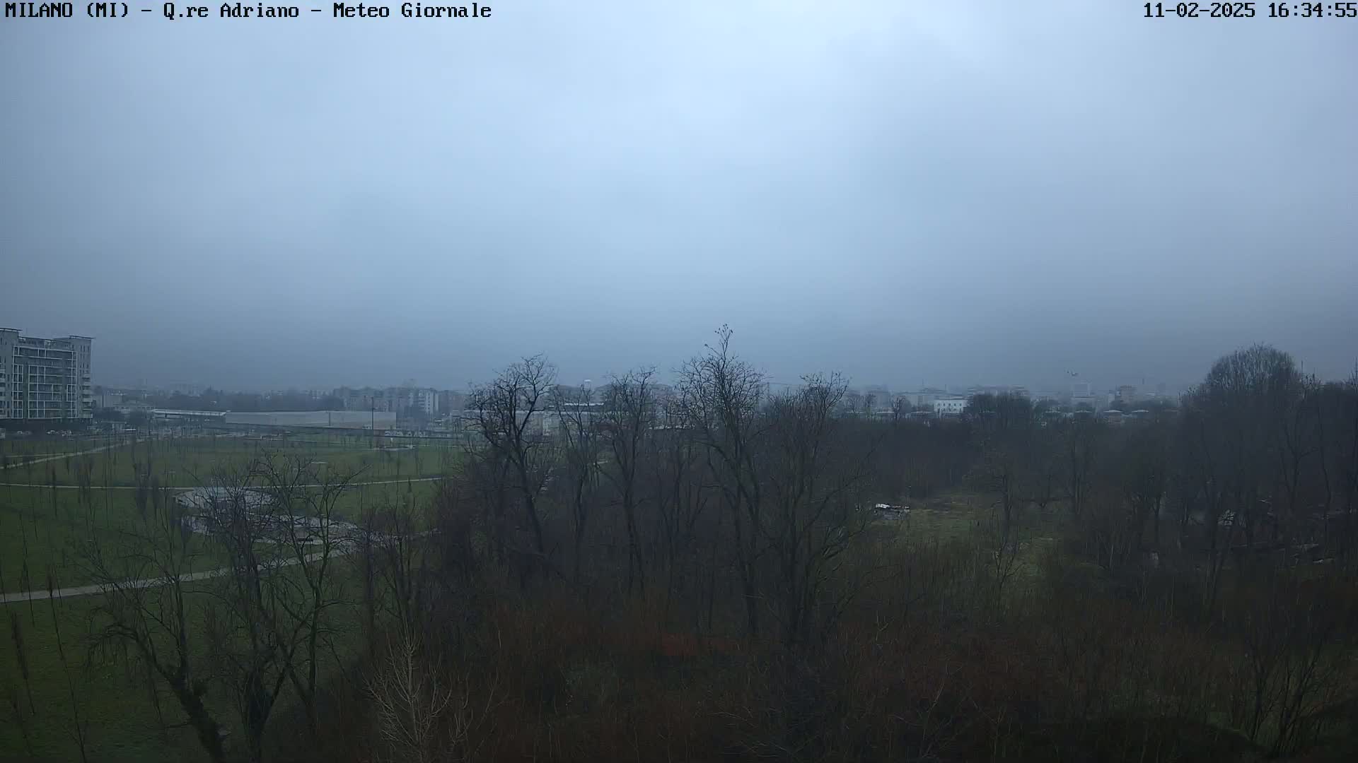 A hazy, overcast view shows a park with bare trees, paths, and buildings in the distance.