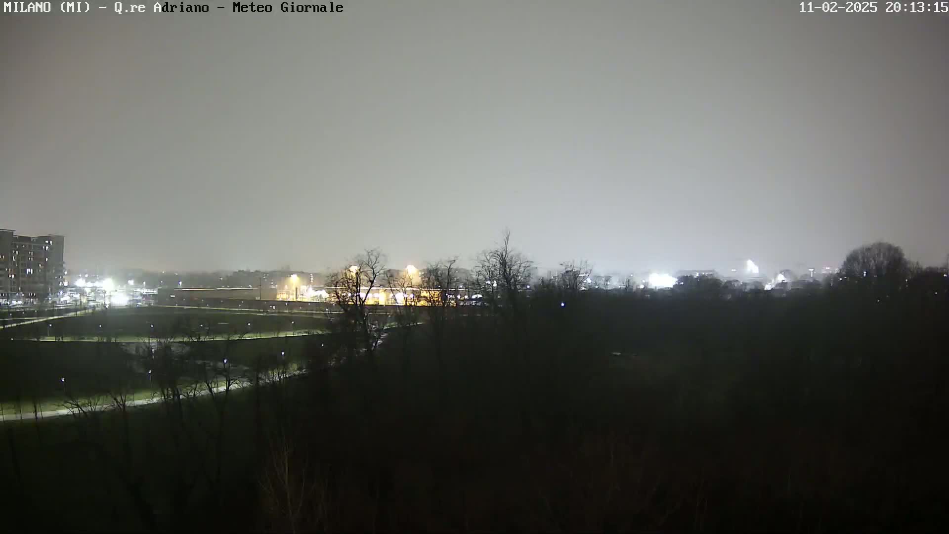 A nighttime view of a park and city skyline under hazy, overcast conditions.