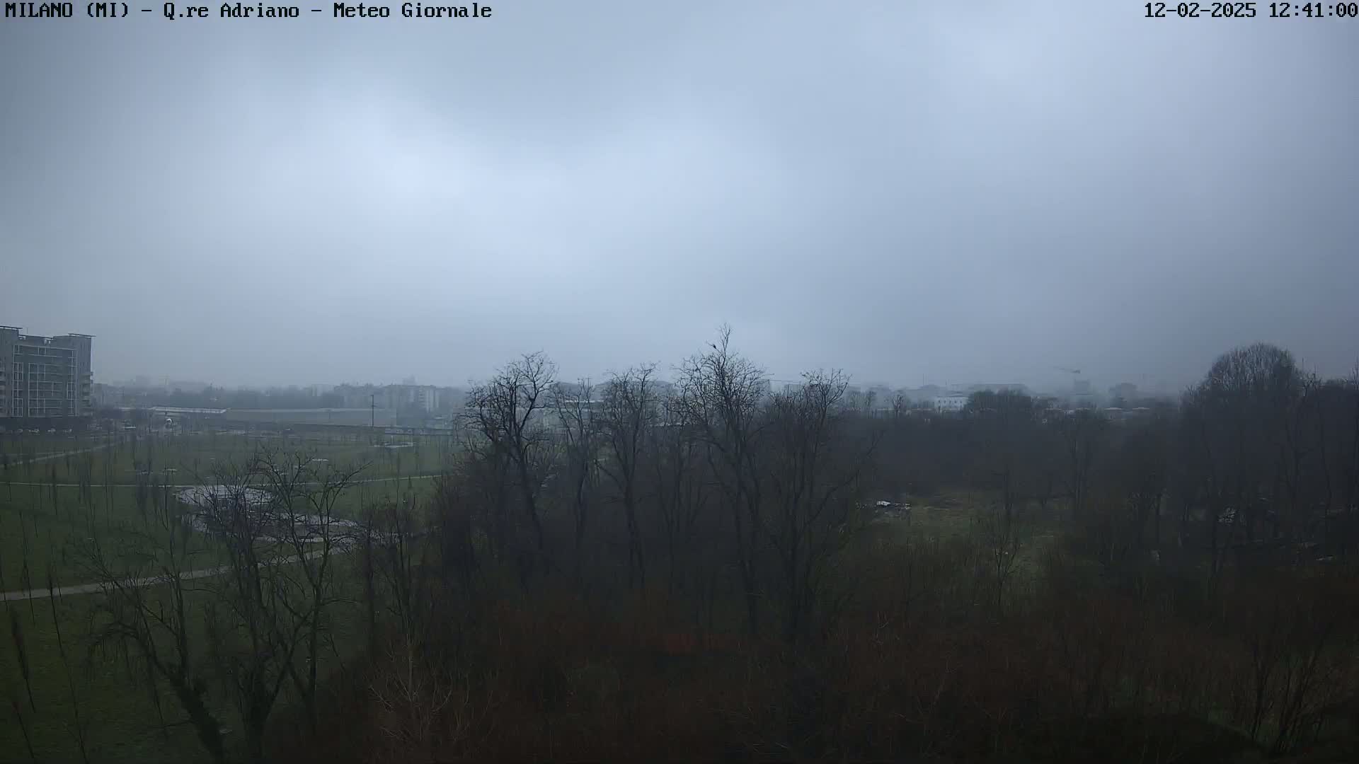 A foggy view of a park with bare trees, a few buildings in the distance, and a mostly overcast sky.