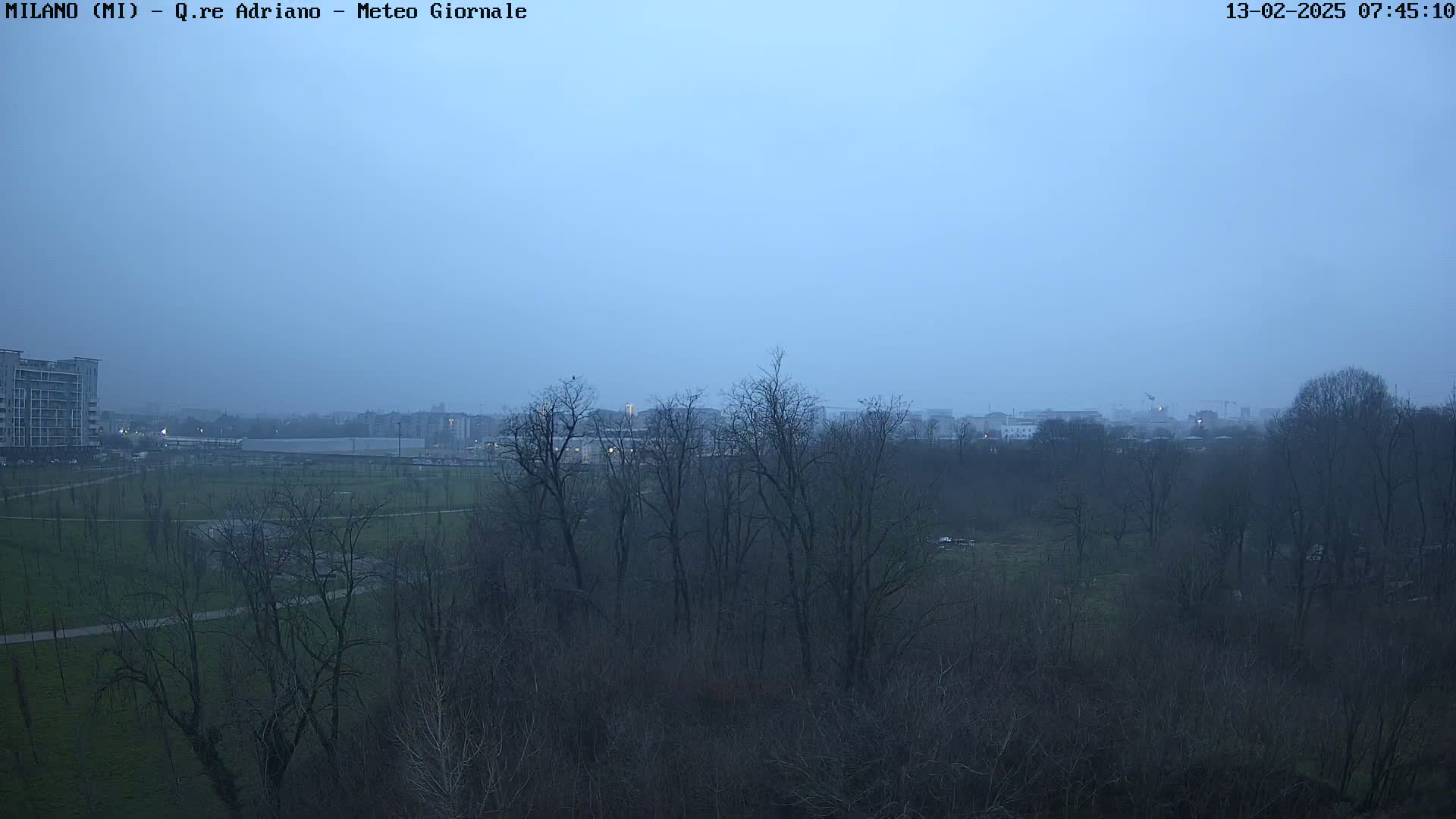 A hazy, dusky view shows a park with bare trees and a building in the distance.