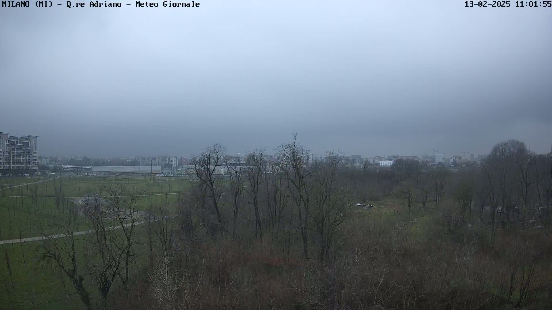 A view of a park and city skyline under a cloudy, overcast sky.