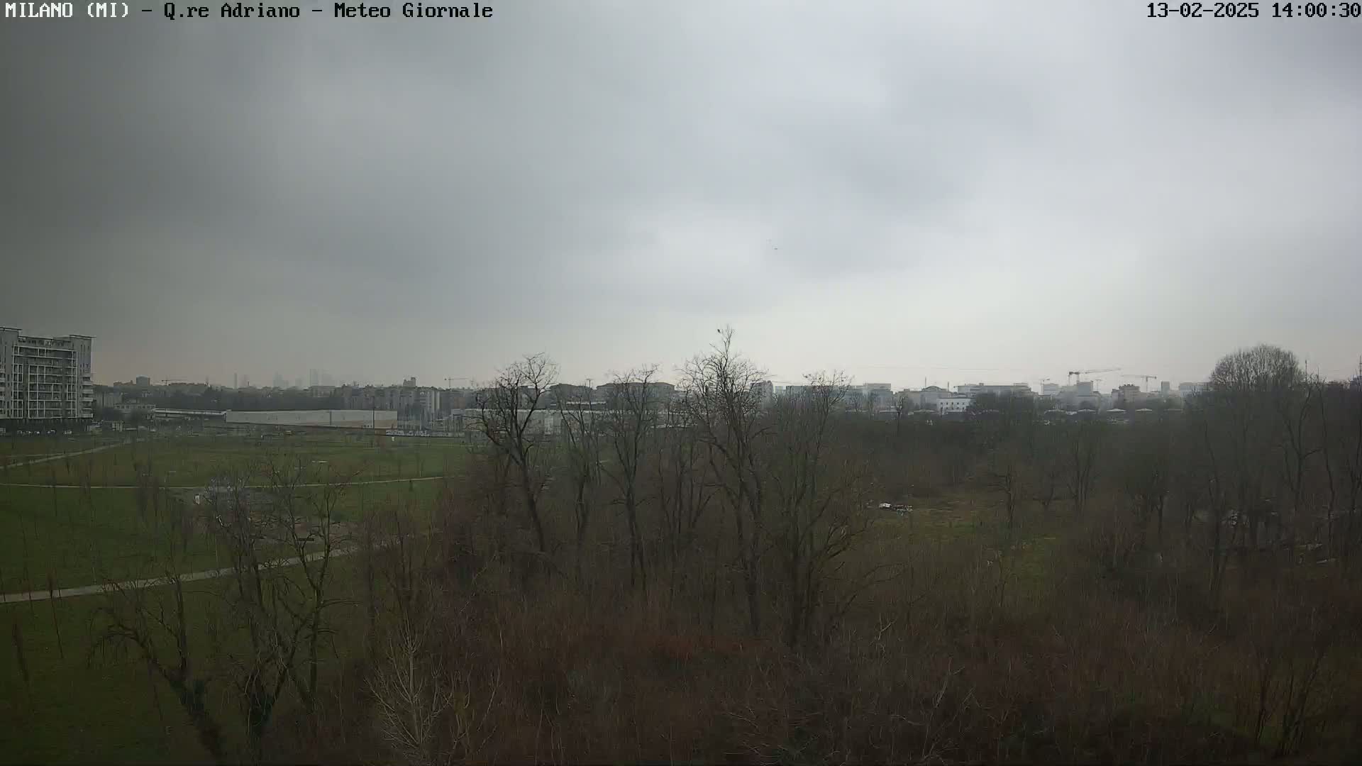 A view of a park with leafless trees under an overcast sky, beyond which lies a cityscape.