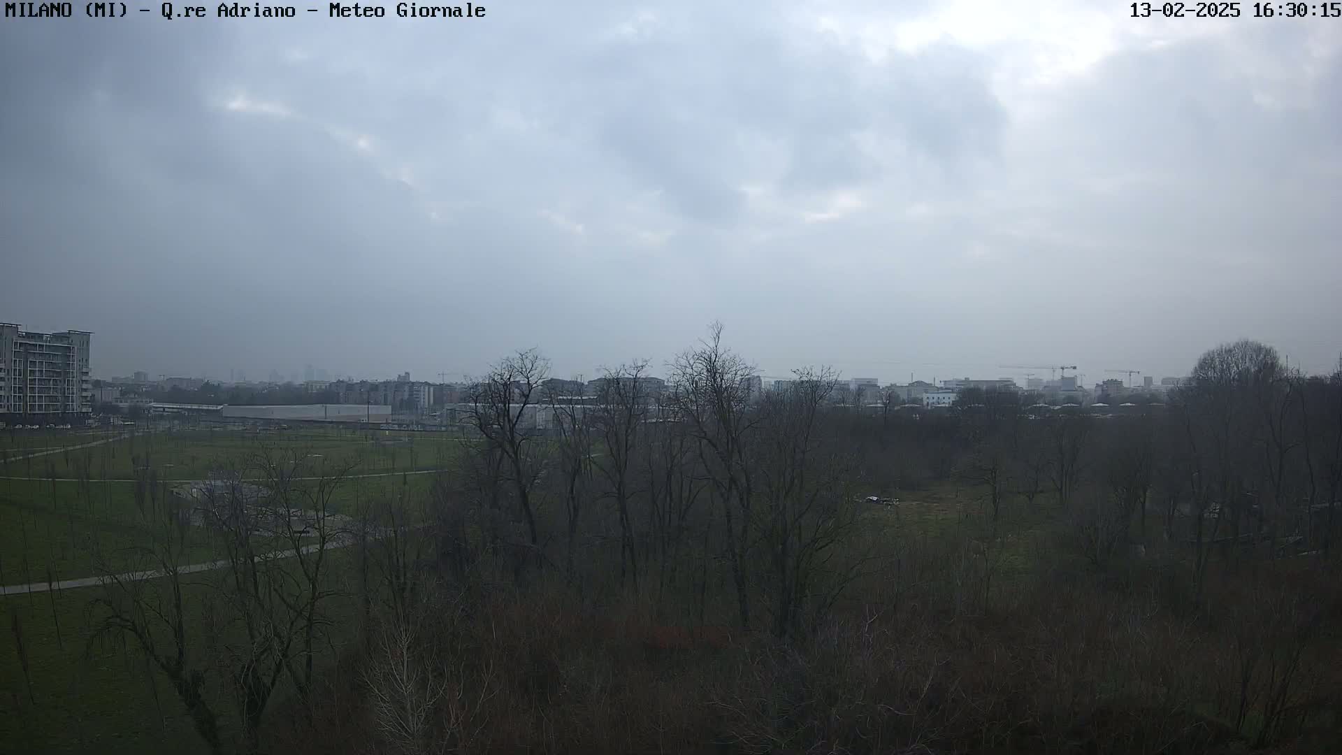 A view of a park with bare trees under a cloudy sky, overlooking a cityscape in the distance.