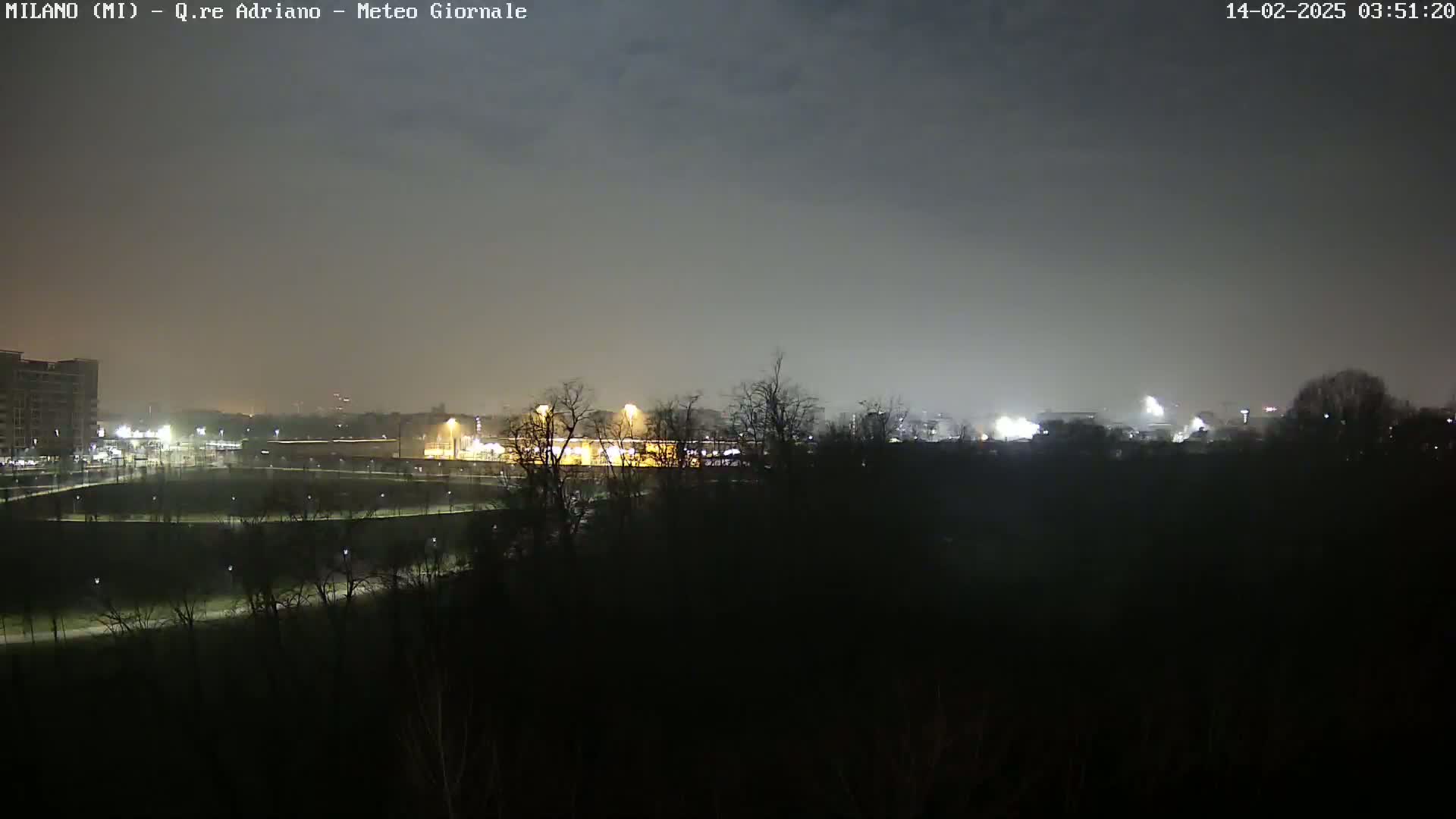 A nighttime view of a park and city buildings under a hazy, dark sky.