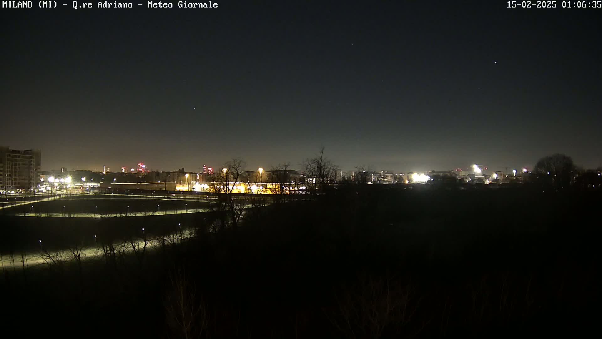 A nighttime view of a city skyline illuminated by lights, seen from across a dark, sparsely vegetated area under a clear, starlit sky.