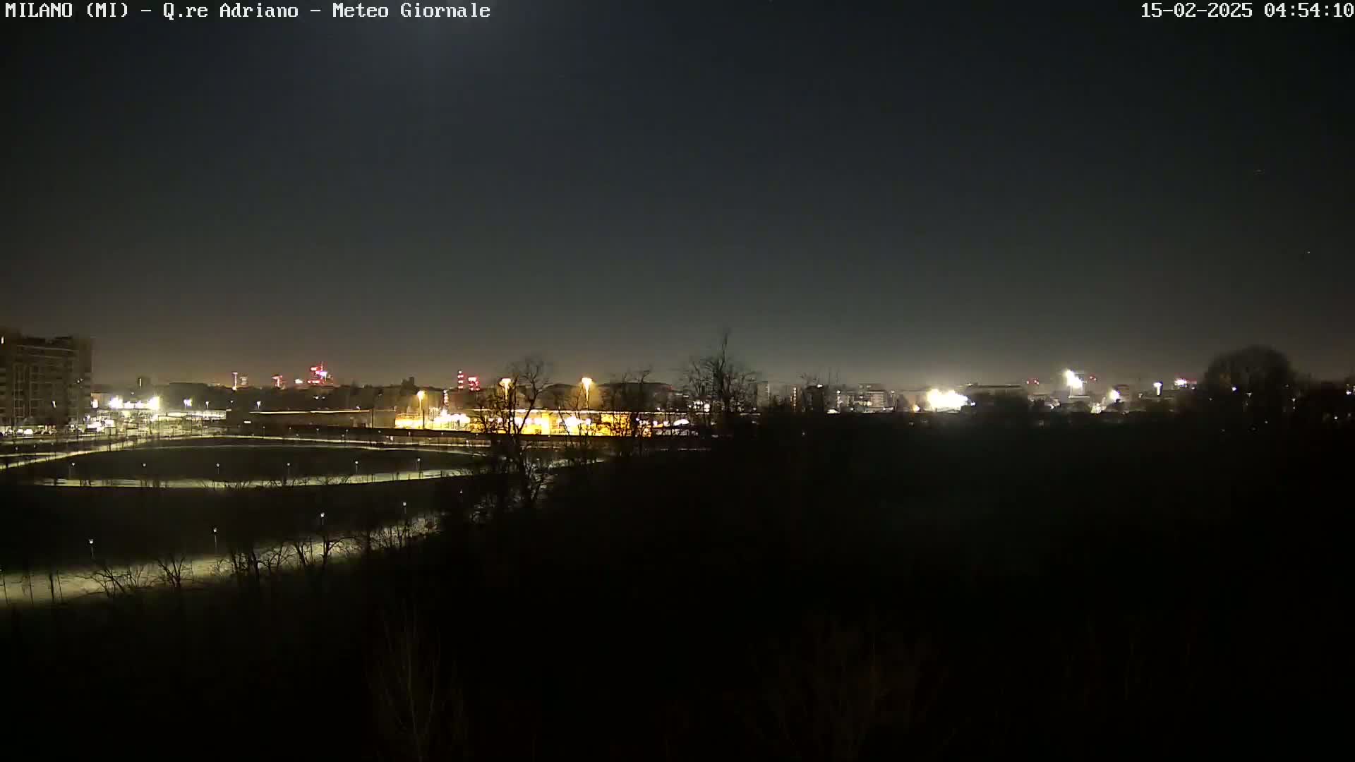 A nighttime view of a city skyline across a dark expanse of land, with faintly lit trees in the foreground under a clear, dark sky.