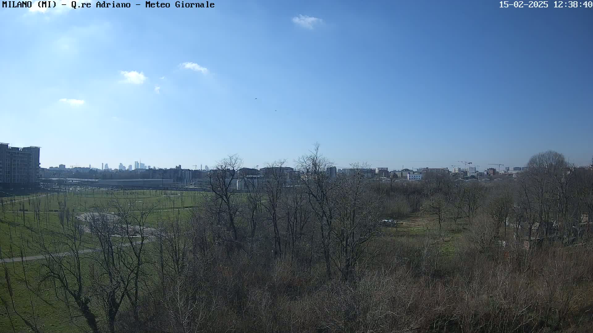 A mostly clear blue sky over a park with leafless trees, a grassy field, and a distant city skyline.