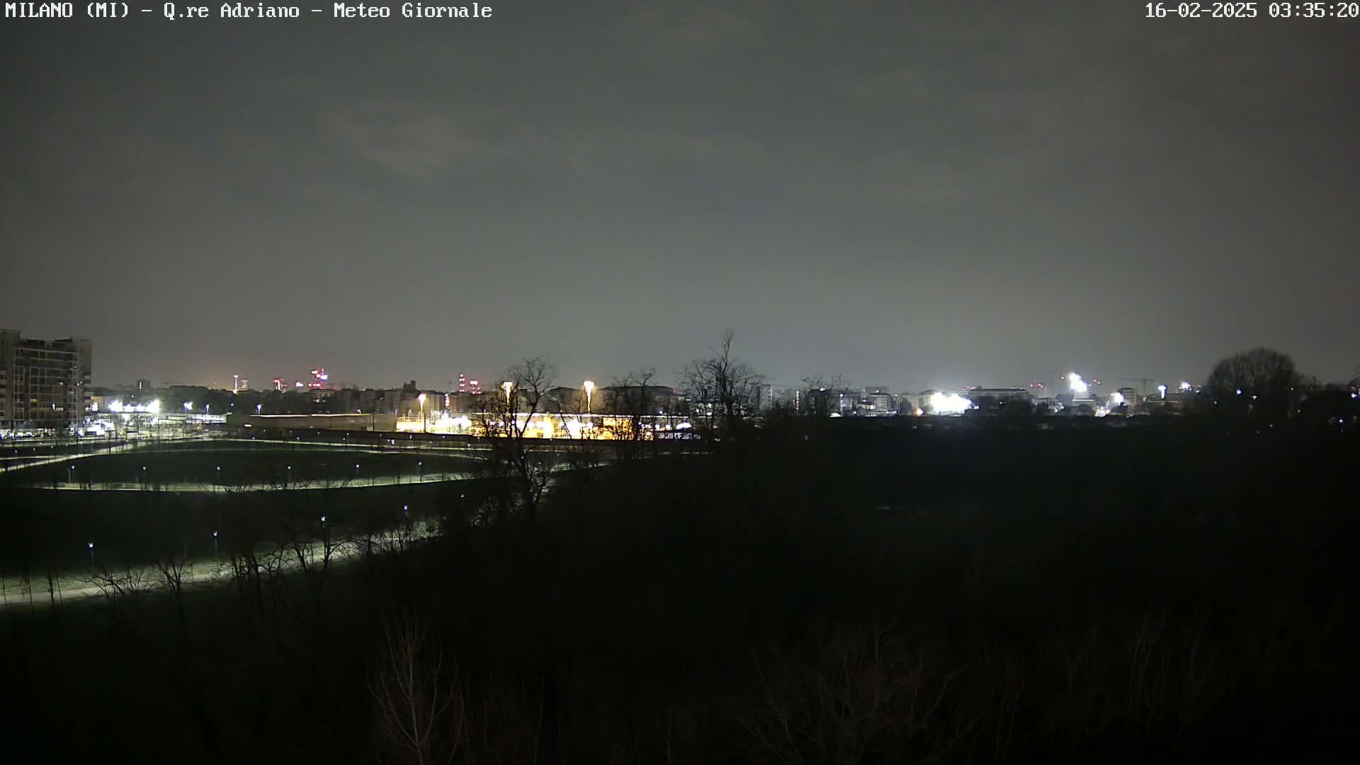 A nighttime view of a city skyline across a dark, tree-lined field under a cloudy sky.