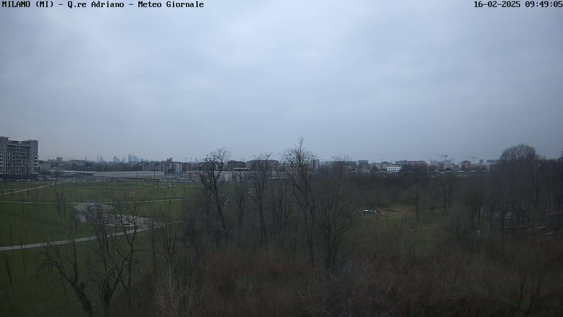 A view of a park with leafless trees under an overcast sky, showing a cityscape in the distance.