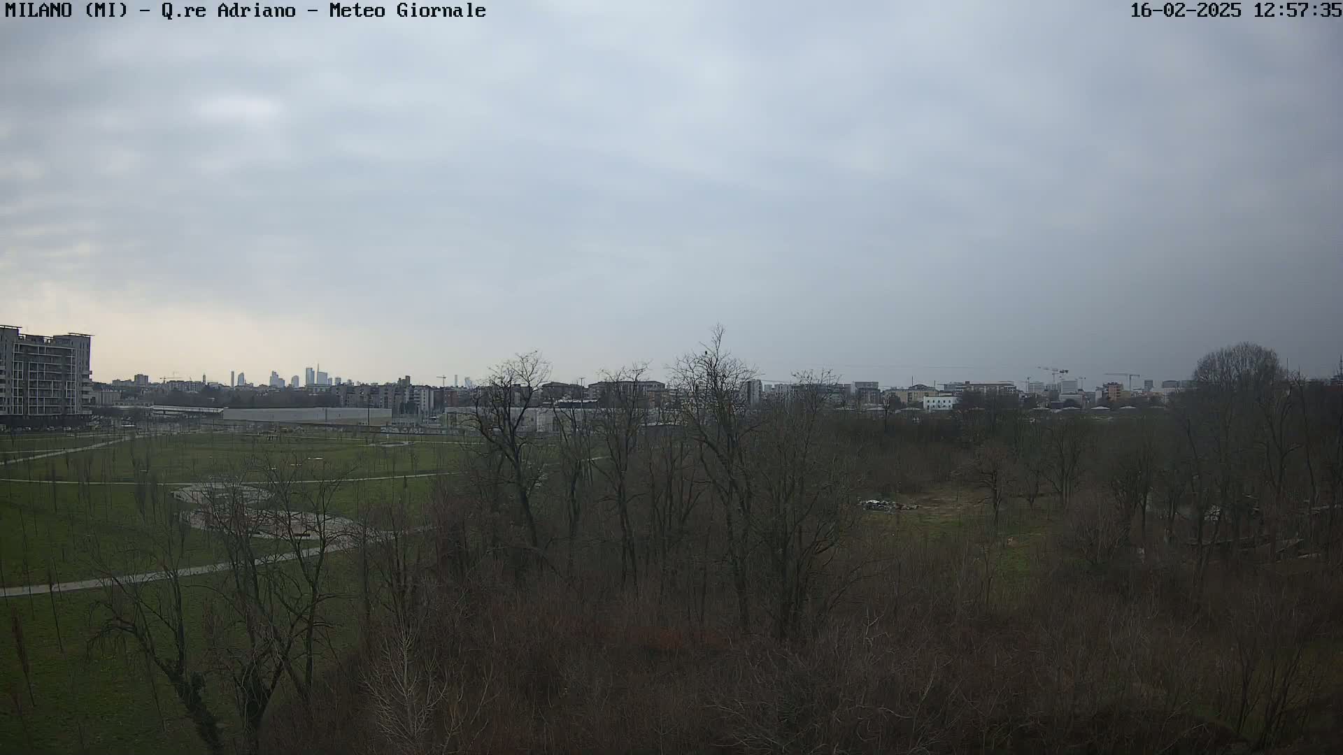 A view of a park with bare trees and grassy areas, overlooking a cityscape under an overcast sky.
