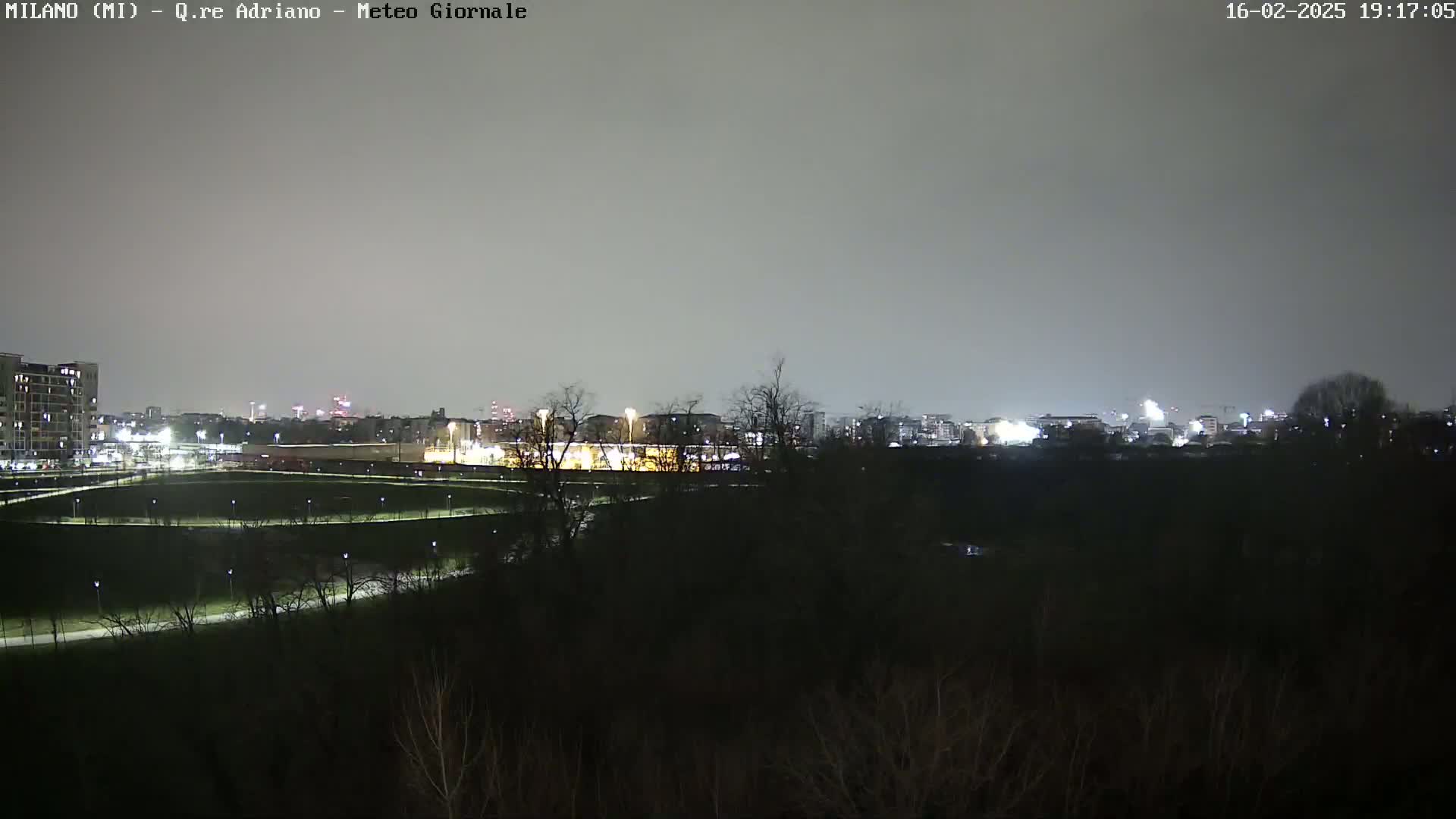 A nighttime view of a city skyline partially obscured by dark trees and a dimly lit park under an overcast sky.