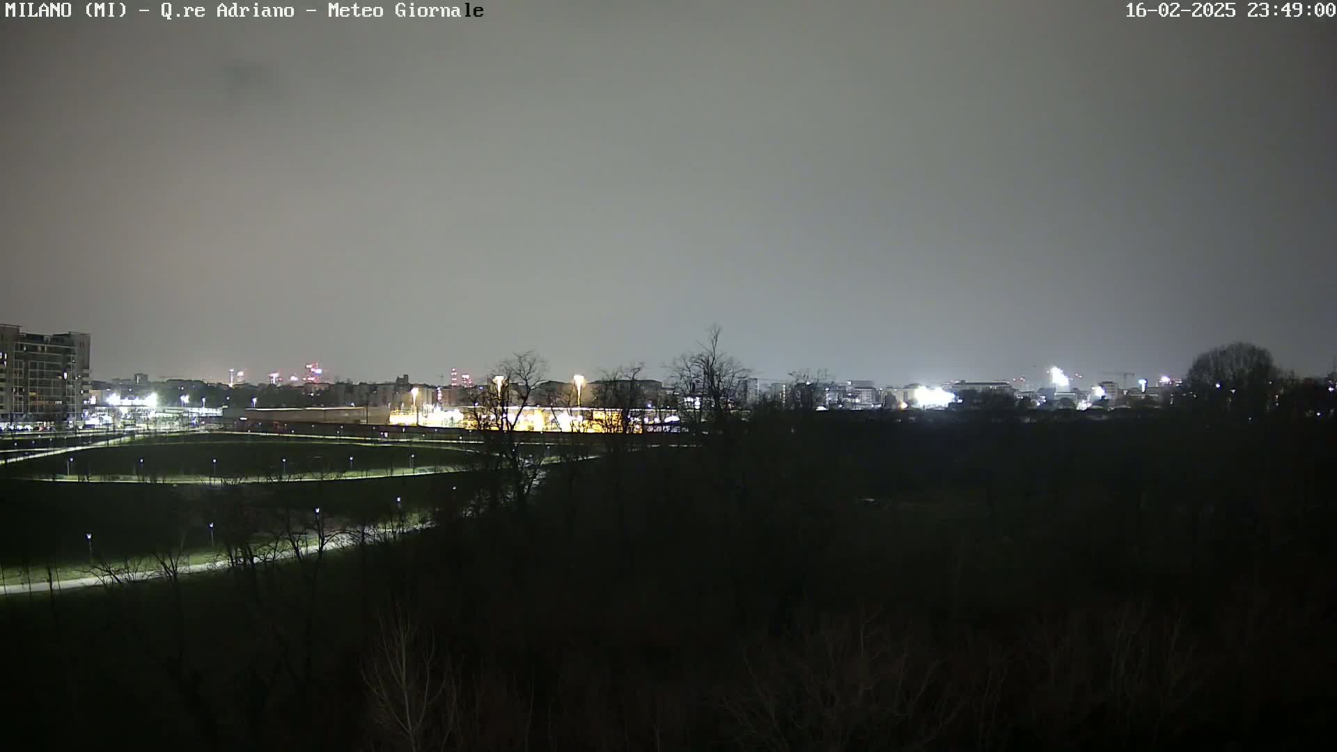 A nighttime view of a city skyline partially obscured by a dark line of trees under a gray sky.