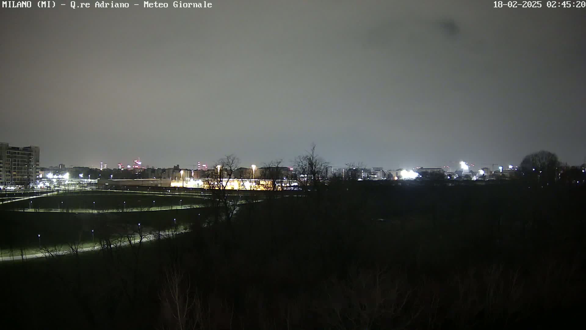 A nighttime view of a city skyline dimly lit across a dark expanse of trees and parkland under an overcast sky.