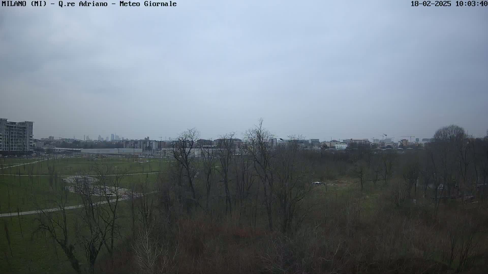 A view of a park with bare trees under an overcast sky, showing a cityscape in the distance.