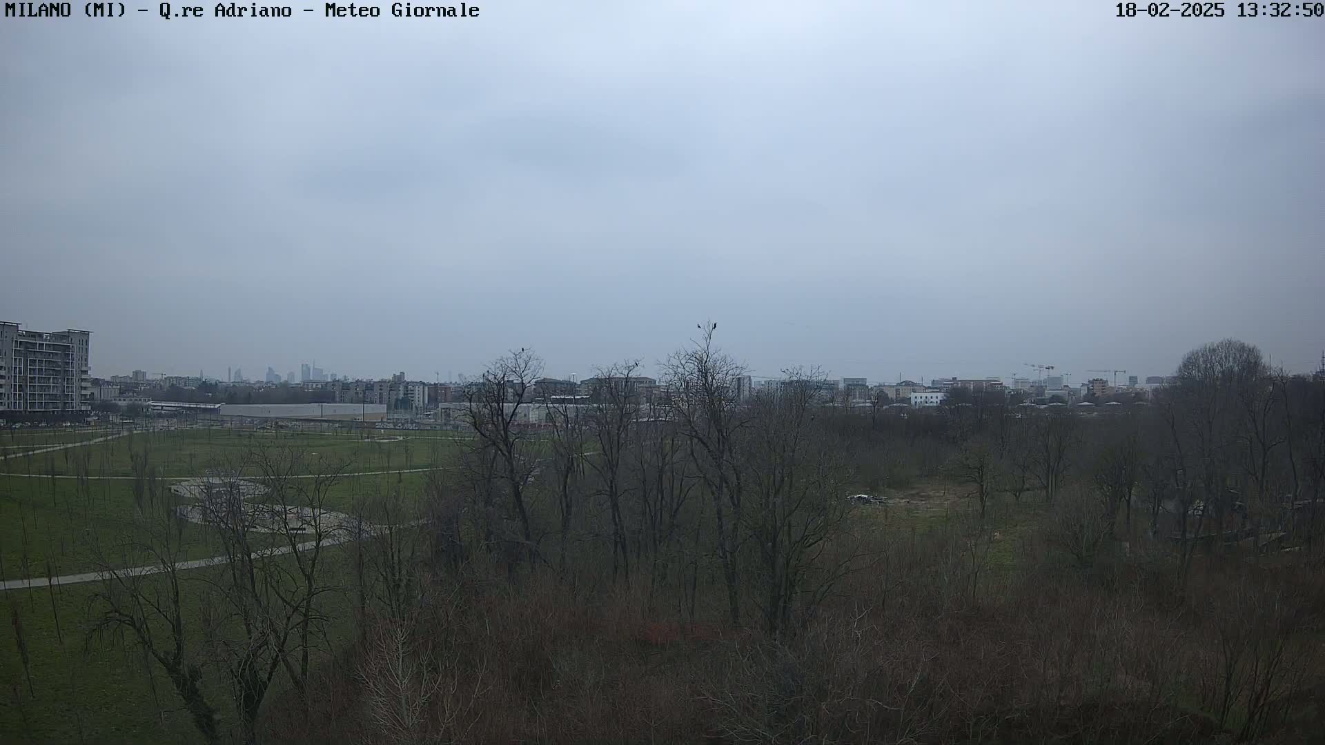 A view of a park with bare trees and a city skyline under an overcast sky.