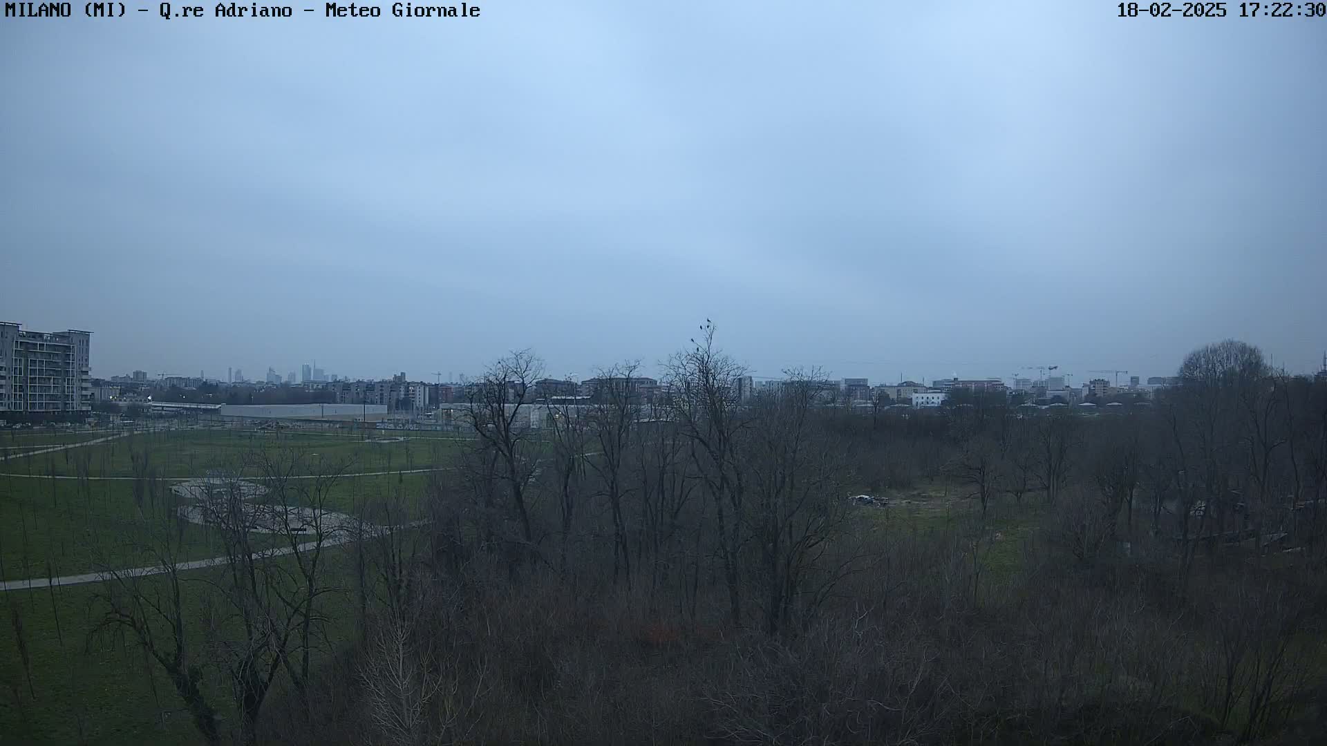 A view of a park with bare trees and a city skyline in the distance under a cloudy, overcast sky.