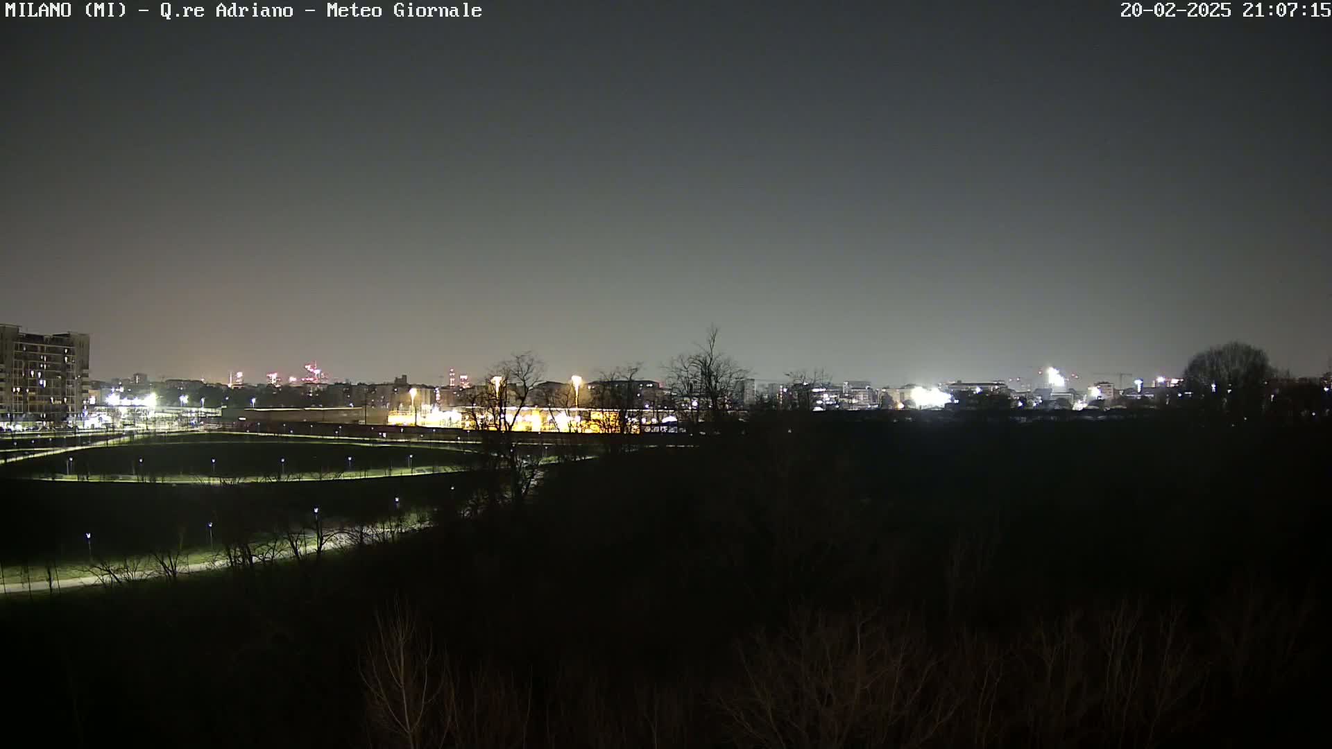 A nighttime view of a city skyline across a dark, tree-lined park, under a clear, dark sky.
