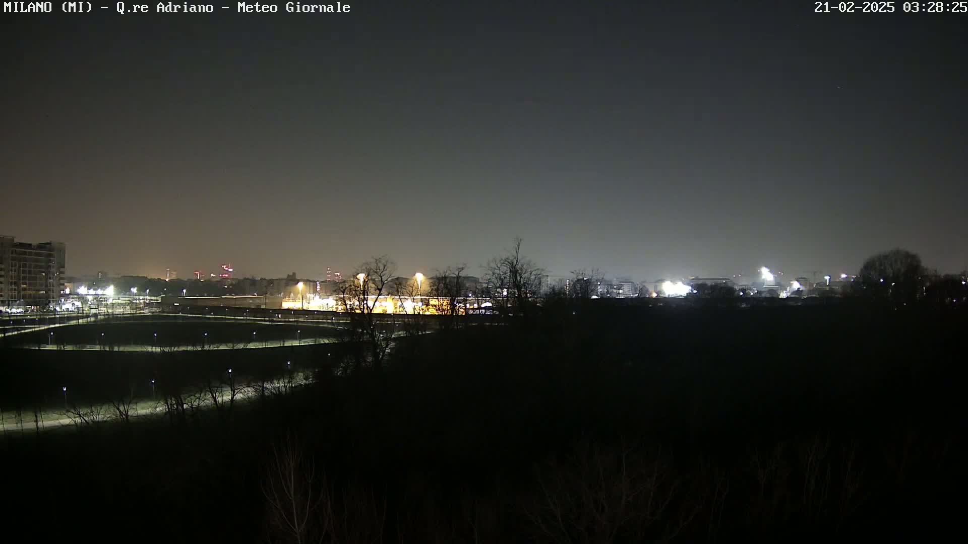 A nighttime view of a city skyline partially obscured by a dark, tree-lined foreground under a mostly clear sky.