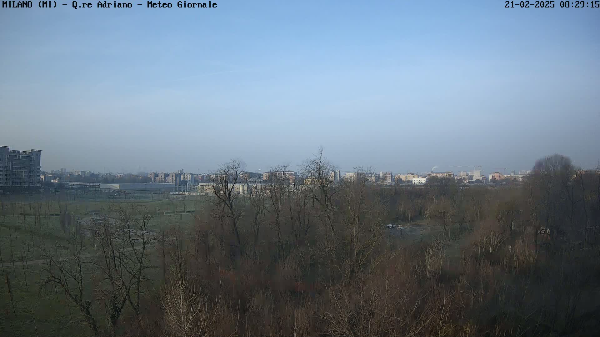 A clear, hazy day reveals a view of bare winter trees in a park, beyond which a city skyline is visible in the distance.