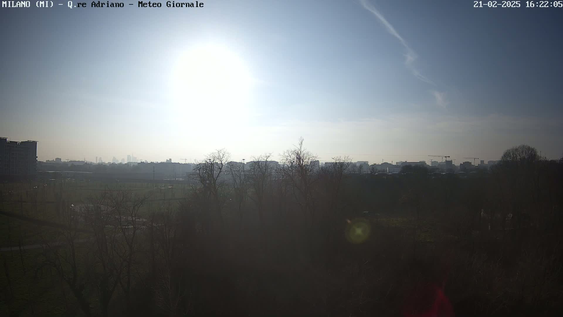 A hazy, sunny day reveals a cityscape in the distance behind a line of bare winter trees and a flat expanse of land.