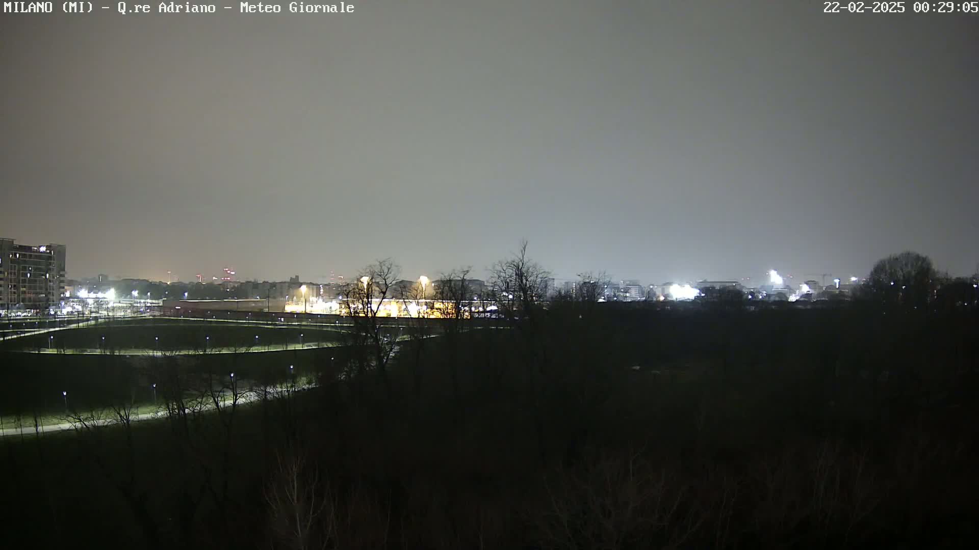 A nighttime view of a city skyline dimly lit across a dark expanse of trees and a park with winding paths.