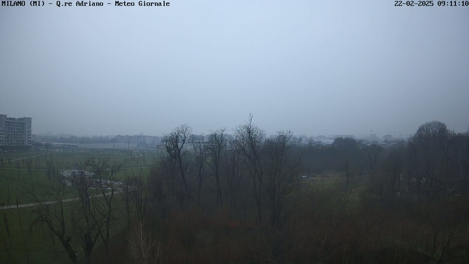 A foggy, overcast view of a park with bare trees, buildings in the distance, and a grassy field.