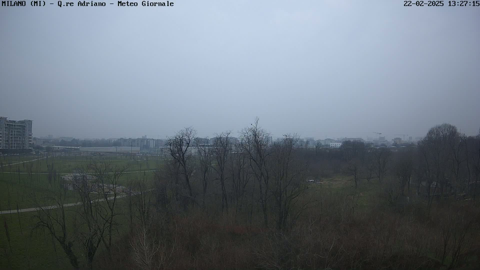 A hazy view of a park with bare trees, buildings in the distance, and a flat, grassy area.