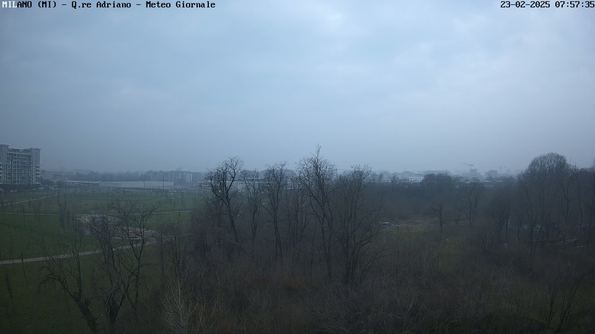 A hazy, overcast day reveals a park-like area with bare trees, a distant cityscape, and a few buildings in the foreground.