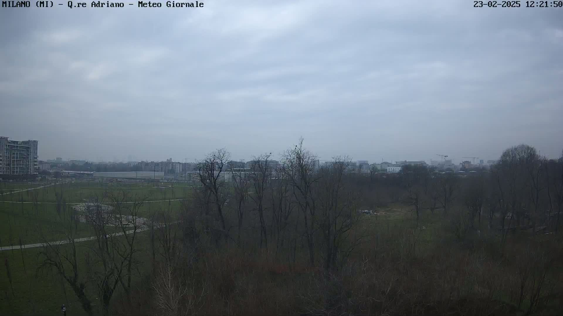 A view of a park with bare trees and buildings in the distance under an overcast sky.