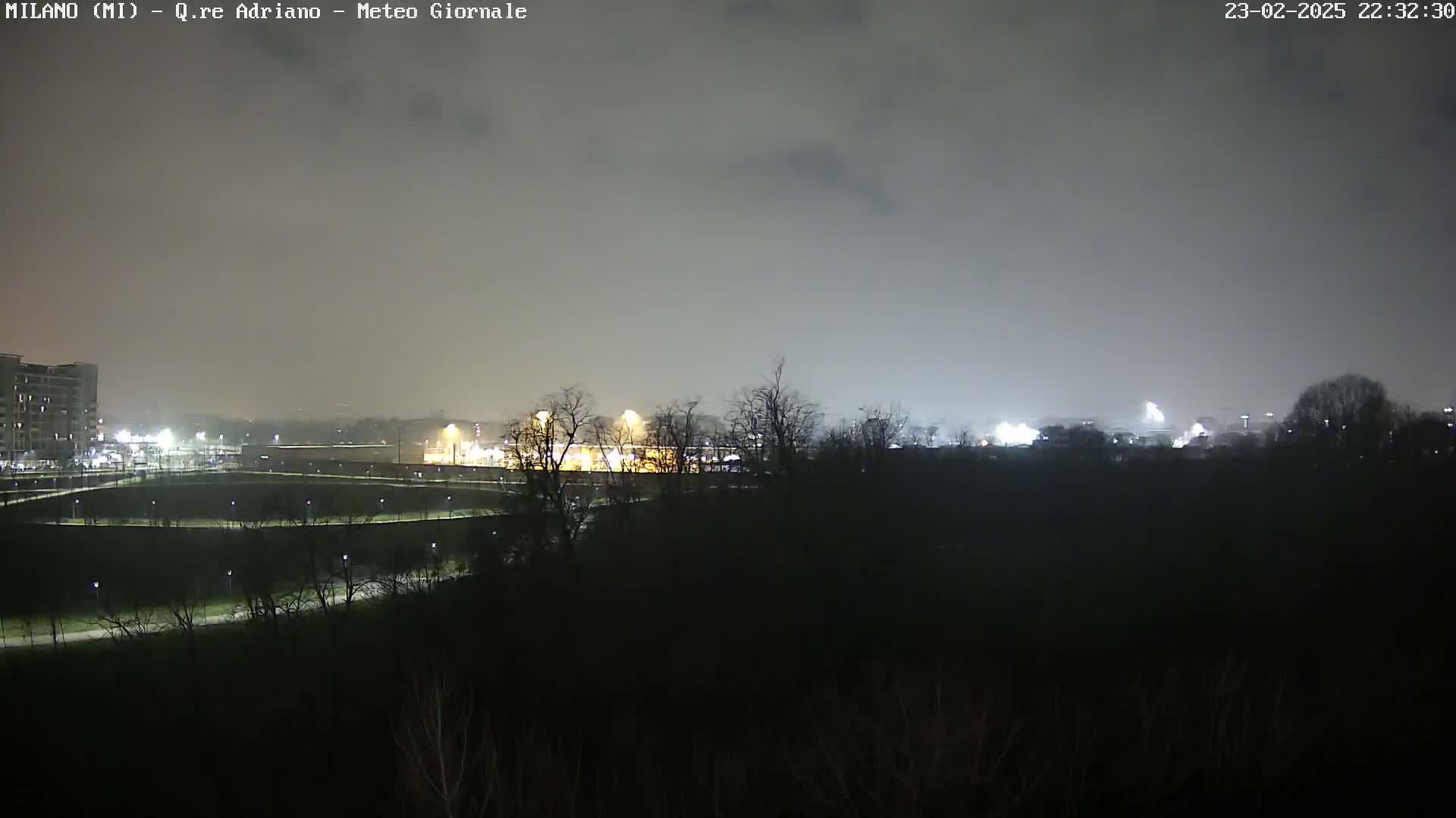 A nighttime view of a dimly lit park and distant buildings under a hazy, overcast sky.