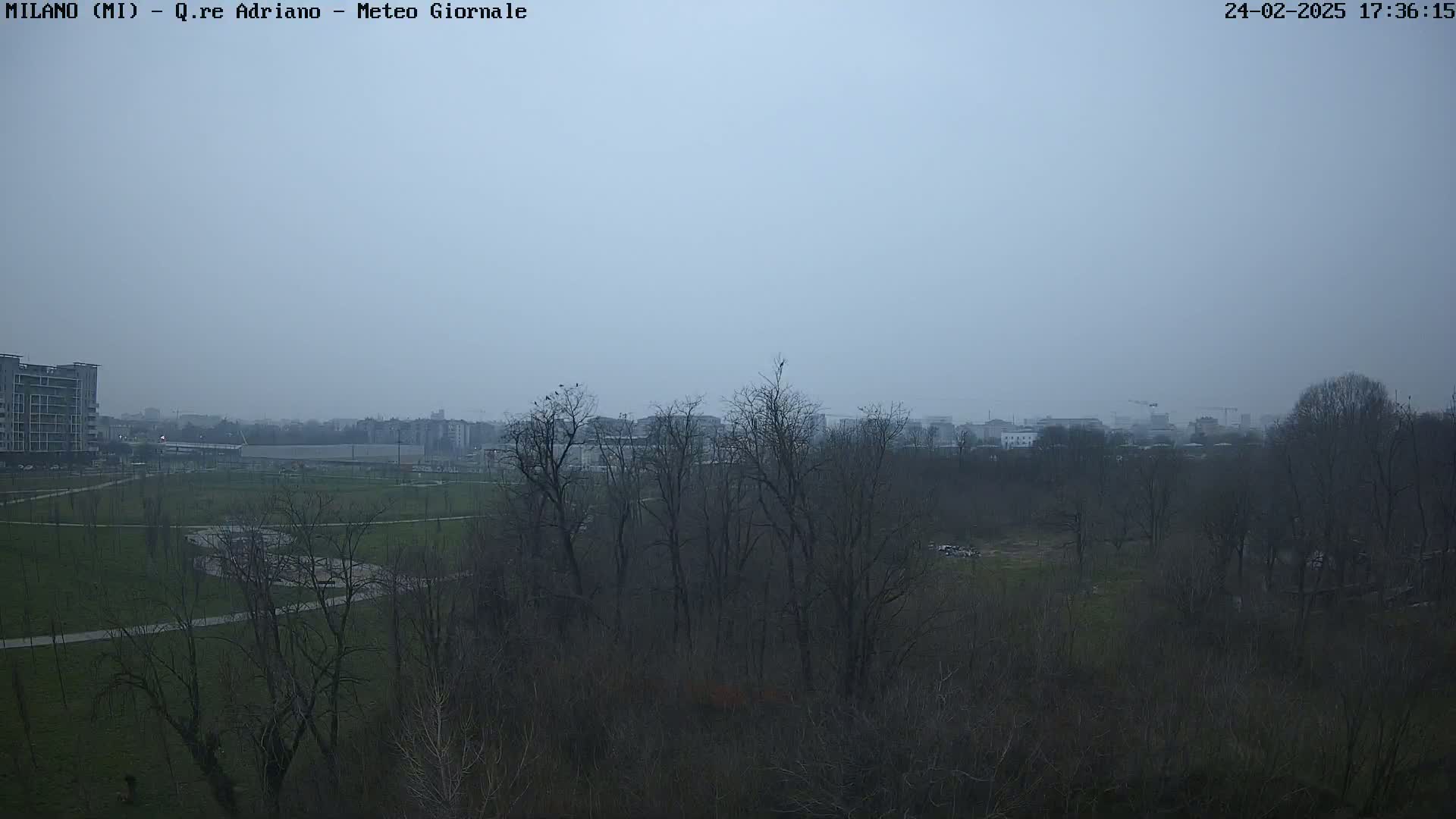 A hazy, overcast day reveals a park with bare trees, paths, and buildings in the distance.