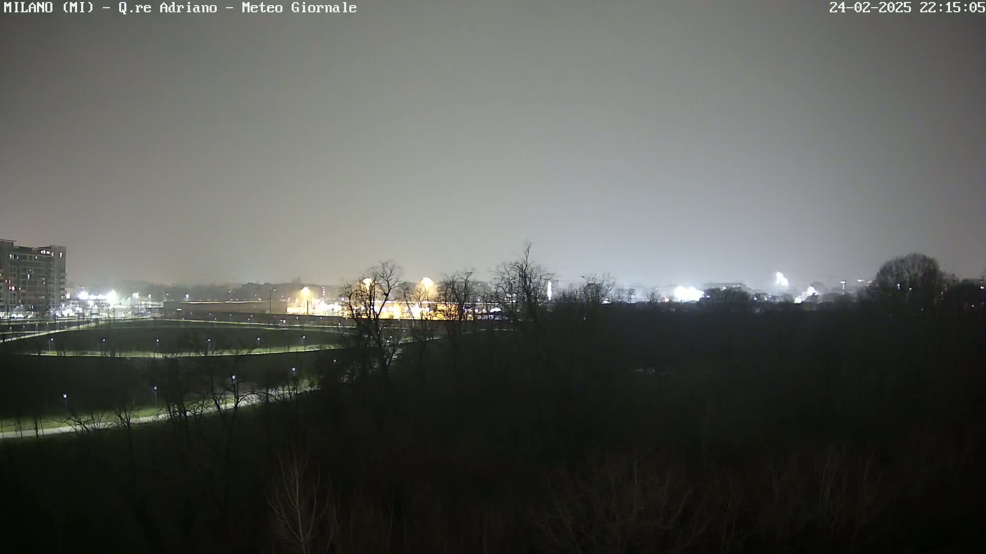 A nighttime view of a city skyline dimly lit under a hazy, overcast sky, partially obscured by a line of trees in the foreground.