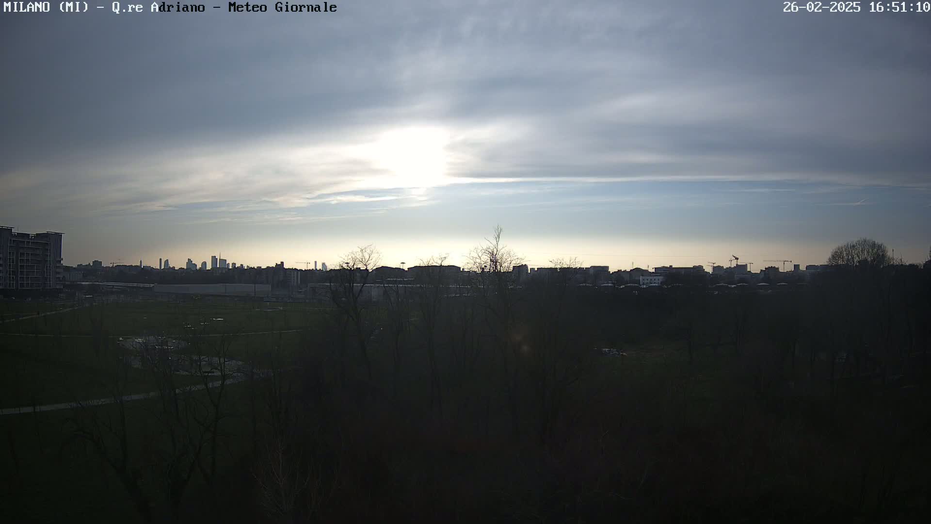 A mostly cloudy sky illuminates a cityscape on the horizon, visible through a dark foreground of leafless trees and a grassy field.