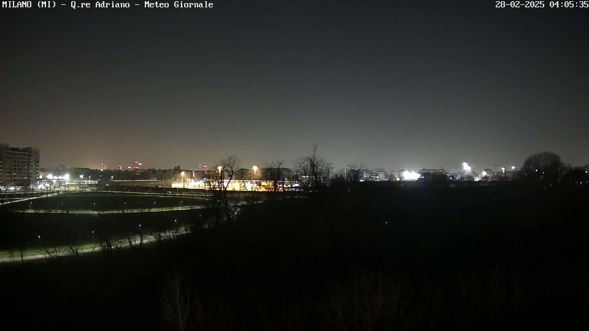 A nighttime view of a city skyline partially obscured by dark trees and shrubs under a dark, clear sky.