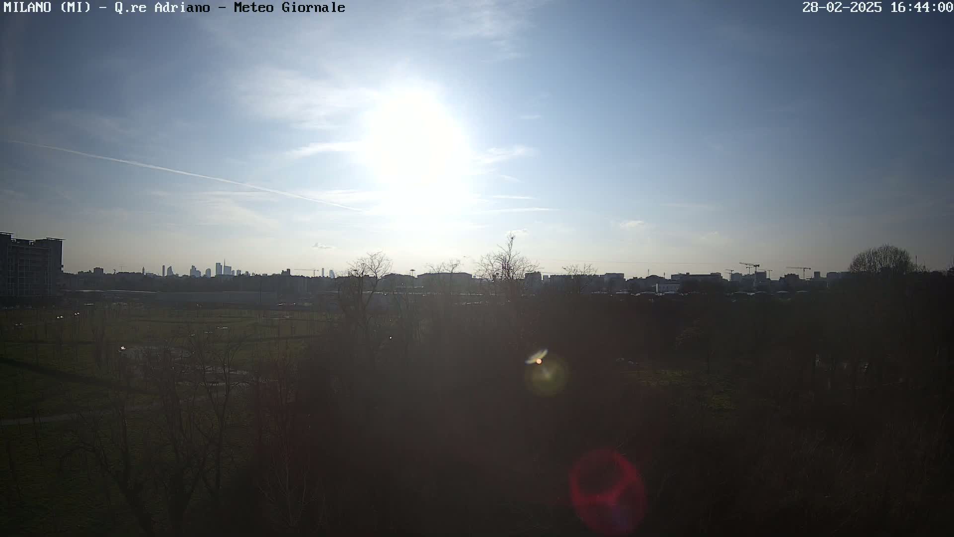 A mostly sunny day shows a city skyline in the distance, behind a field of dark trees and green grass.