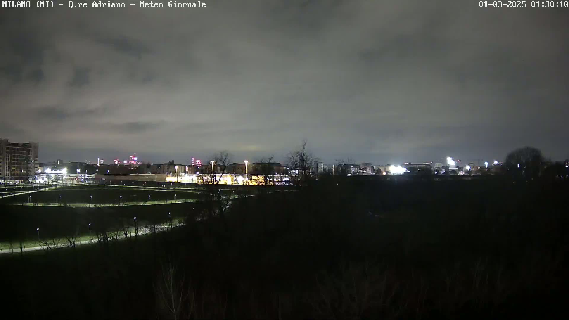 A nighttime view of a city skyline across a dark, grassy parkland under a cloudy sky.