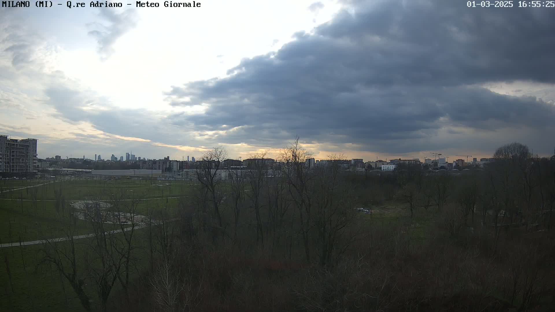 A park with leafless trees and grassy areas overlooks a city skyline under a cloudy sky.