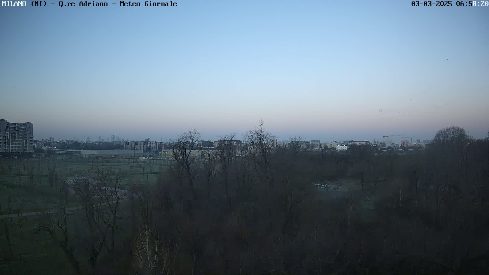 A twilight view of a city skyline over a park with leafless trees under a clear, pale blue sky.