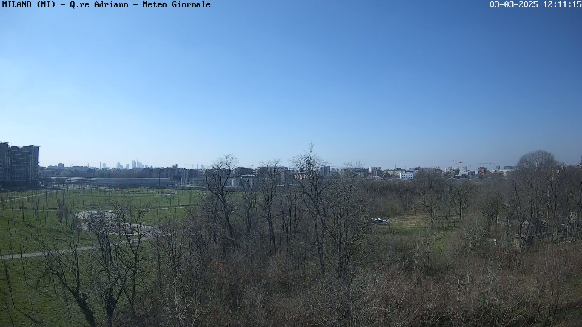 A panoramic view of a park with leafless trees, a grassy field, and a cityscape in the background under a clear blue sky.