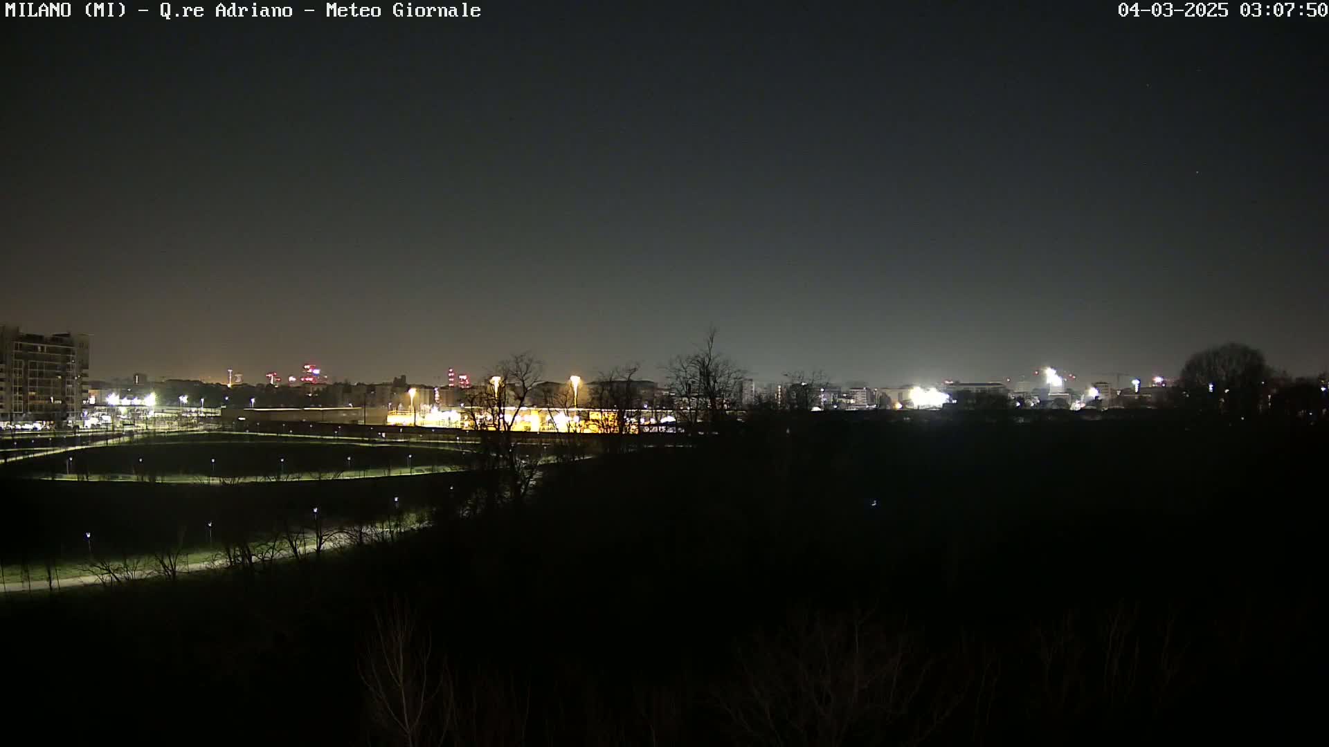 A nighttime, long-range view of a city skyline partially obscured by dark trees and shrubs, with dimly lit buildings and pathways visible in the foreground.