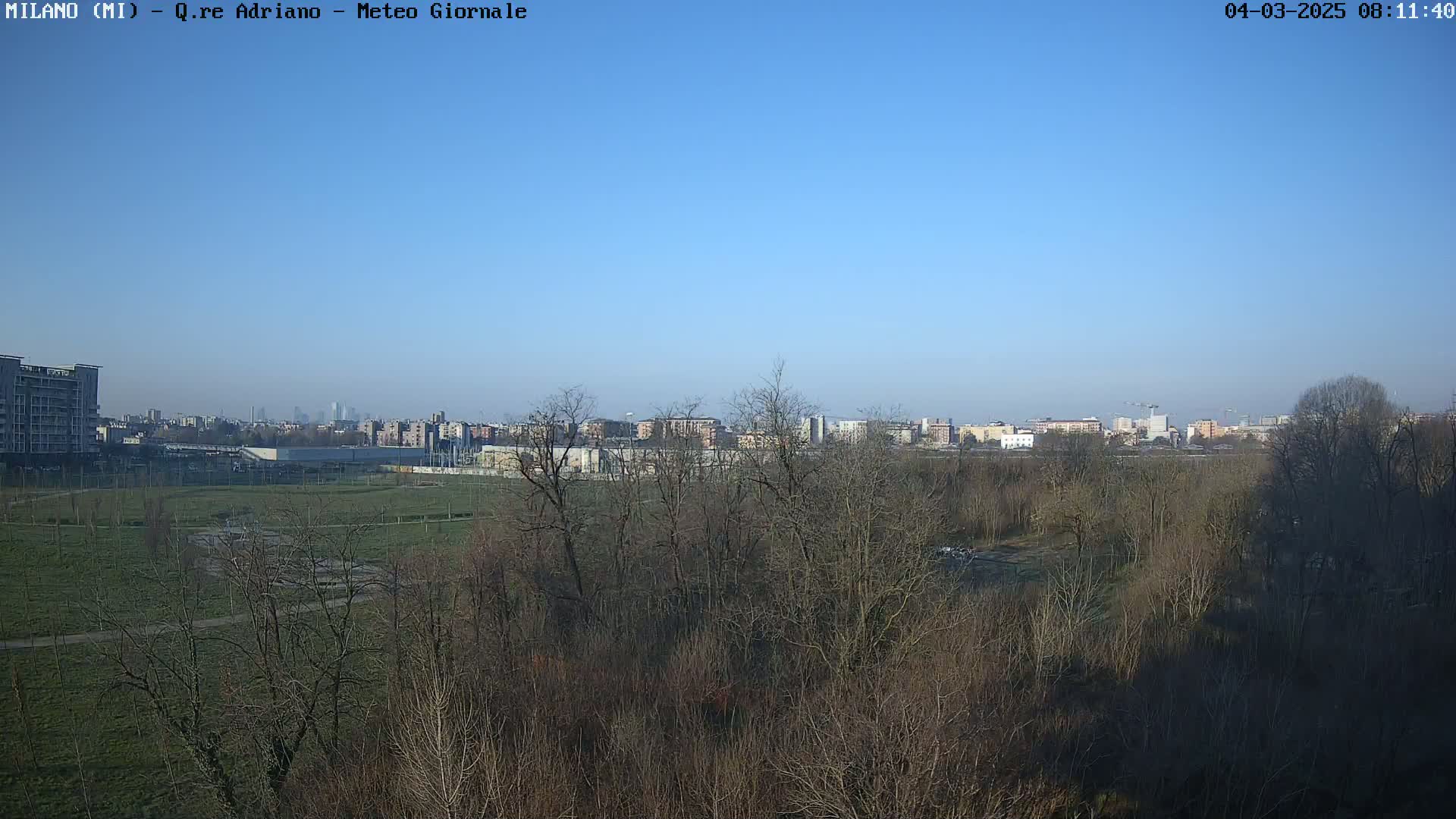A clear blue sky overlooks a cityscape in the distance, beyond a field of leafless trees and a grassy expanse.