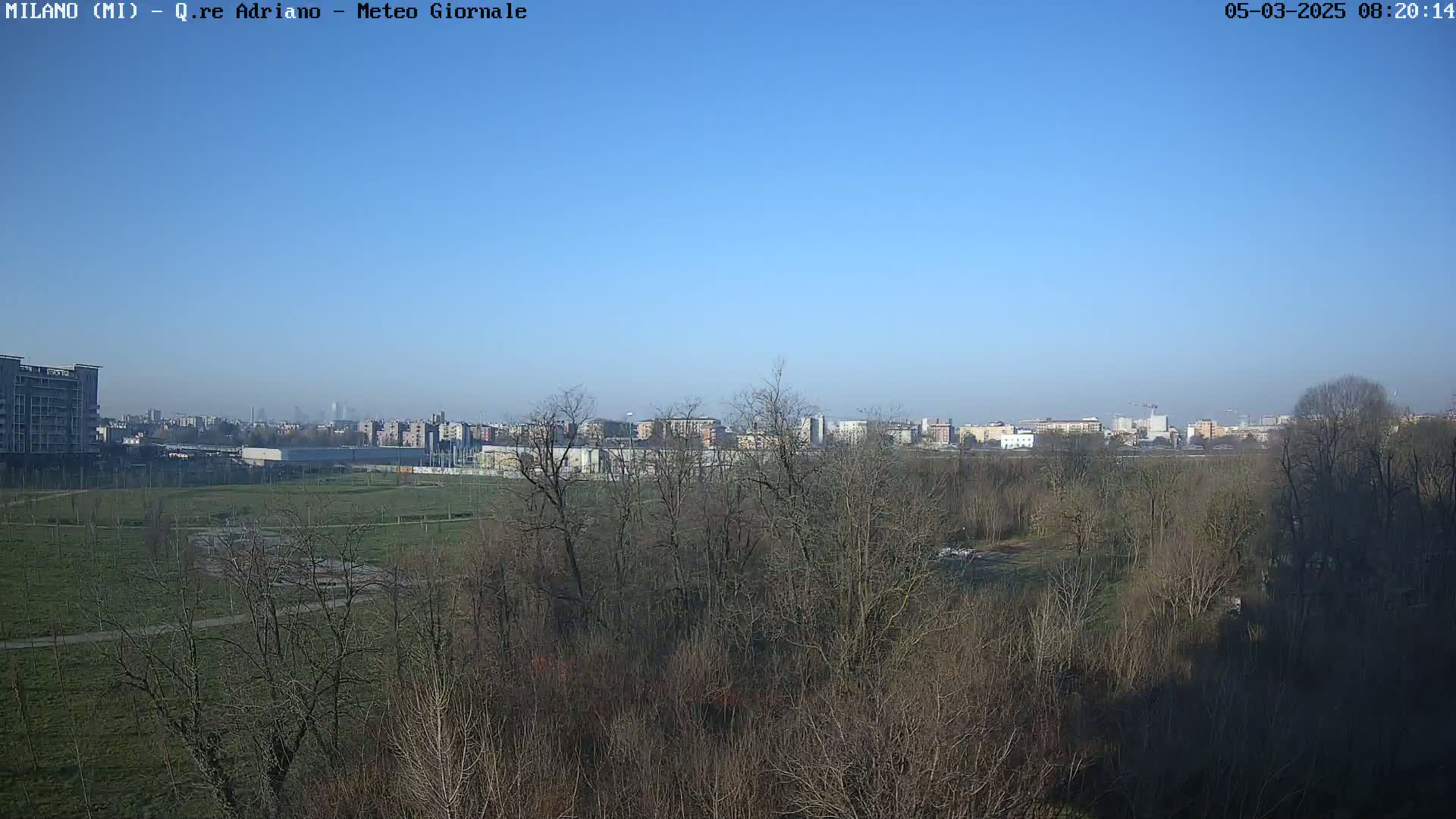 A view of a park with bare trees in the foreground, a grassy field, and a distant cityscape under a clear blue sky.