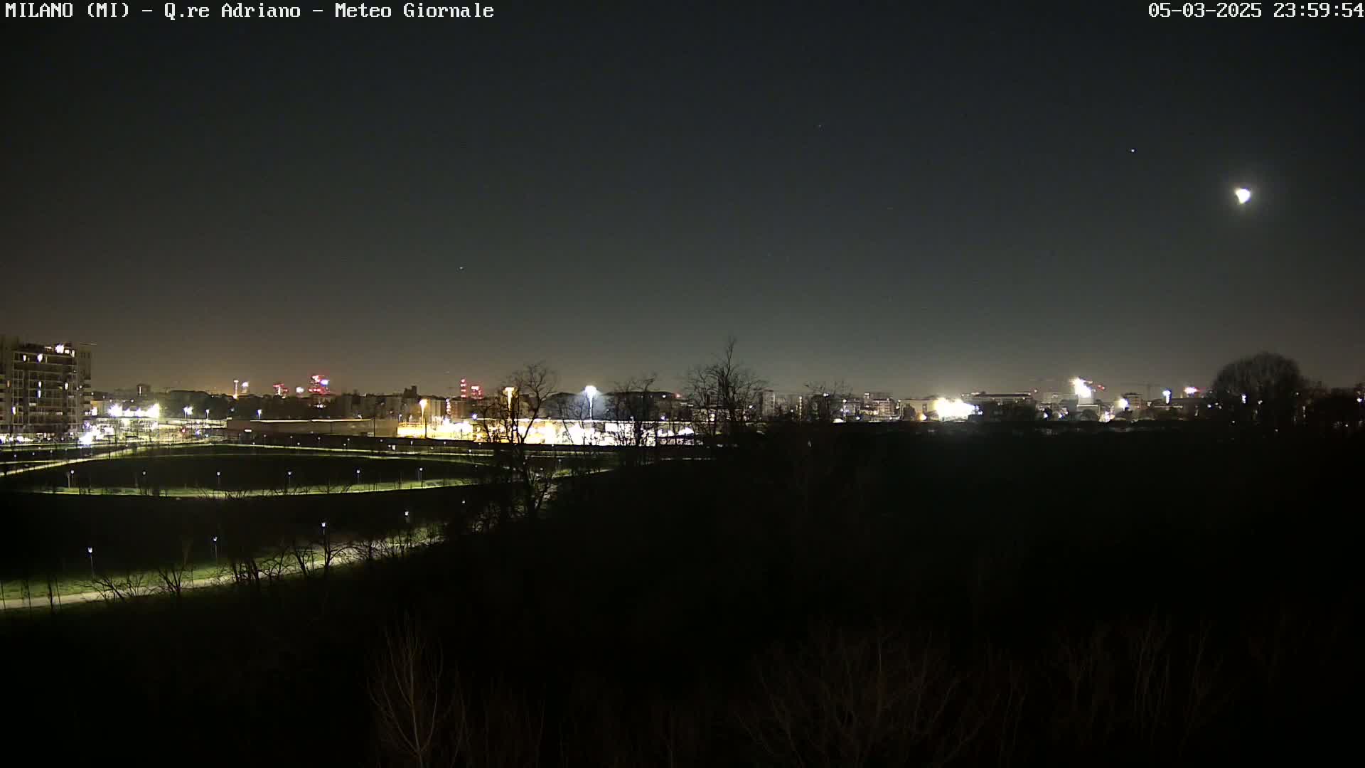 A nighttime view of a city skyline partially obscured by dark trees and shrubs, under a clear sky with a visible moon.