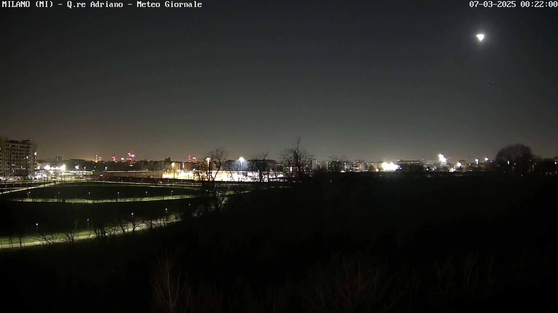 A nighttime view of a city skyline, partially obscured by trees and a park, under a clear sky with a bright moon.