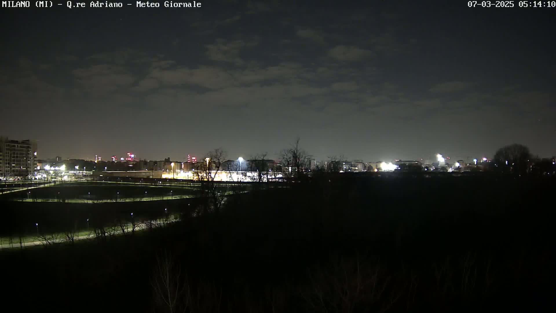 A nighttime view of a city skyline partially obscured by trees and shrubs under a mostly cloudy sky.