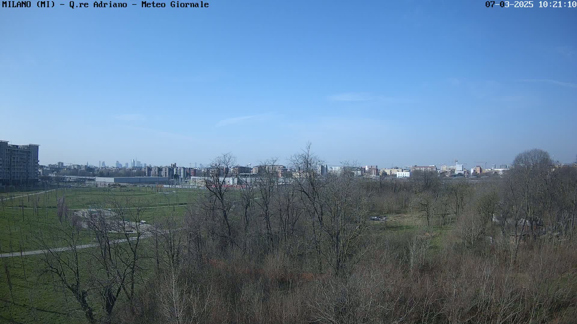 A mostly clear blue sky overlooks a park with leafless trees and a cityscape in the distance.