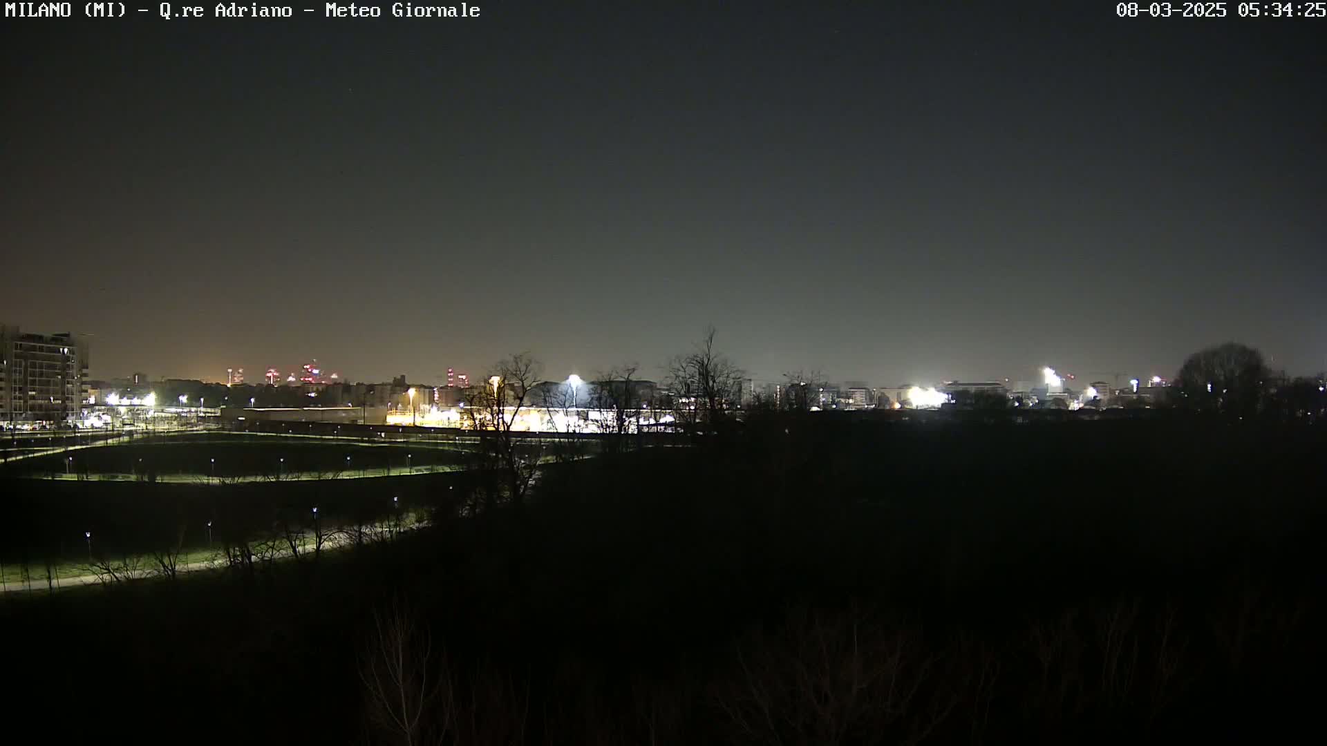 A nighttime view of a city skyline with illuminated buildings and a dark foreground of trees and parkland under a clear, dark sky.
