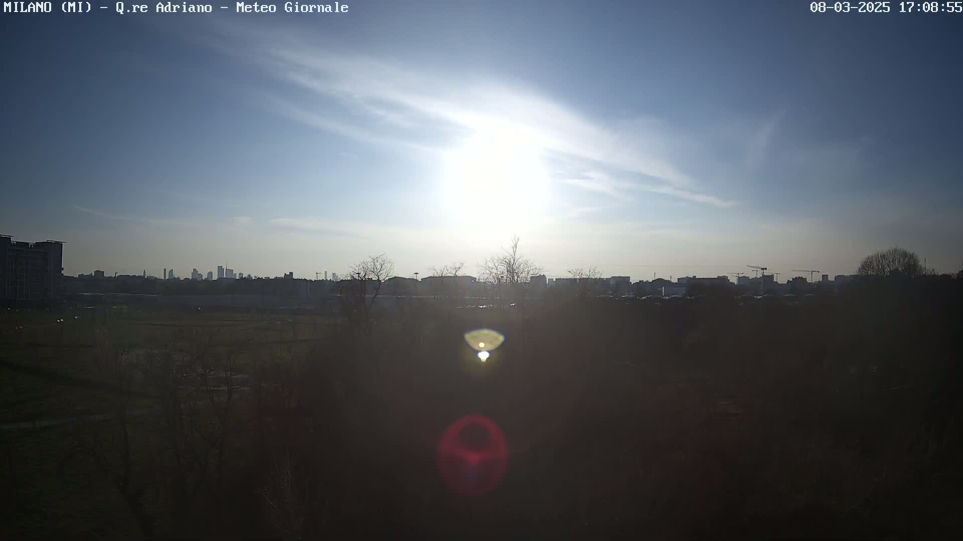 A mostly sunny sky is over a city skyline partially obscured by silhouetted trees and a field.